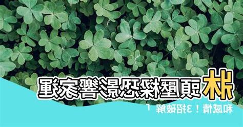 頭壓樑