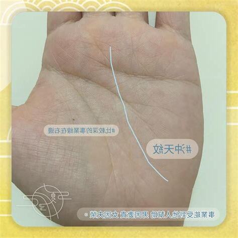 沖卦紋
