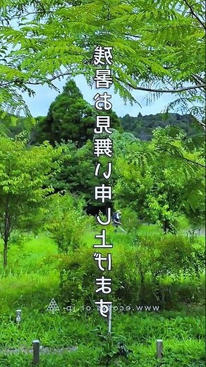 日本墓園