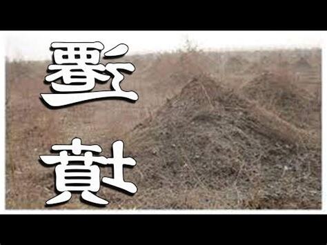 親人過世搬家禁忌