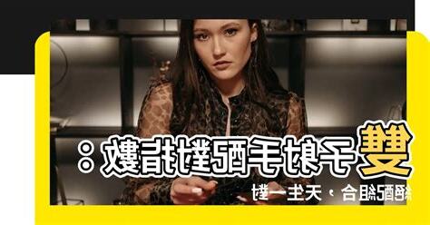 雙子射手配對指數