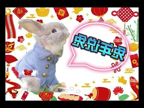 癸卯兔年出生