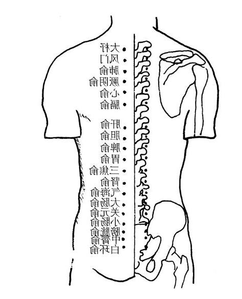 背部穴