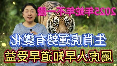 屬虎的運勢