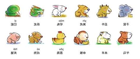 12生肖排序
