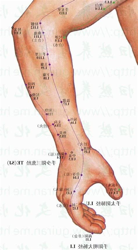下廉穴