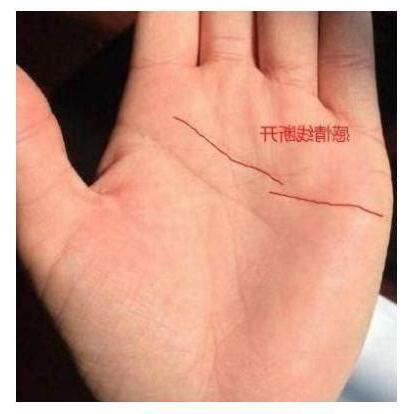 左手感情線斷掉