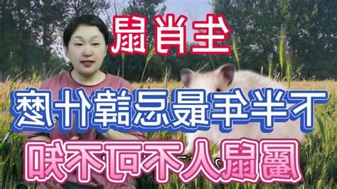 屬鼠忌顏色