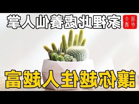 家中放仙人掌