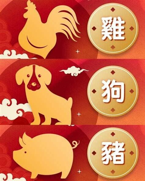 豬今年運勢