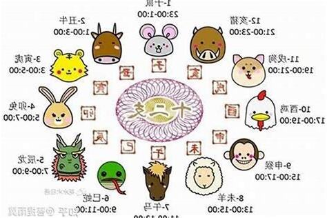 八字生肖