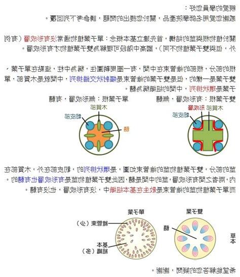 單子葉雙子葉口訣