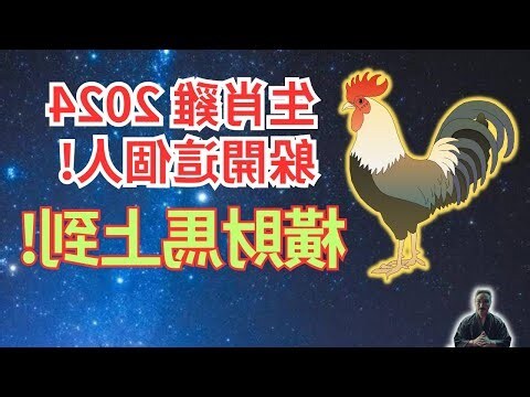 屬雞的貴人生肖