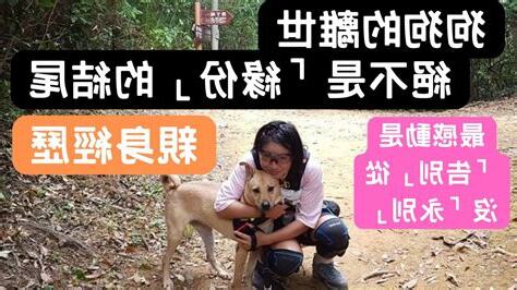 狗狗往生後去哪裡