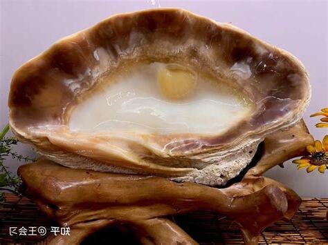 硨