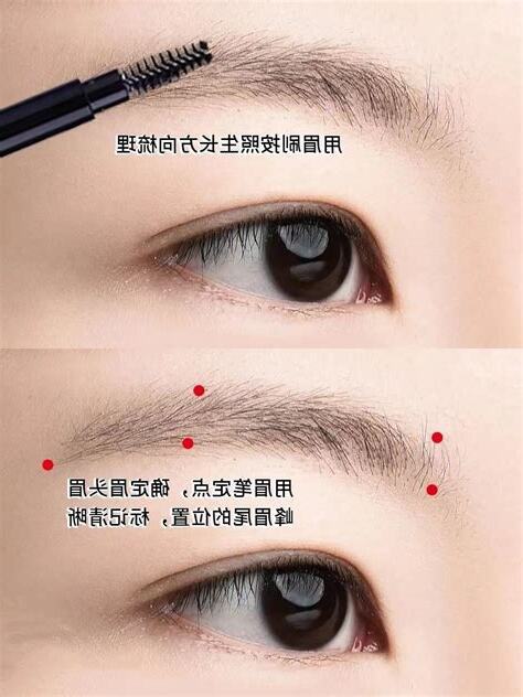 女人眉毛
