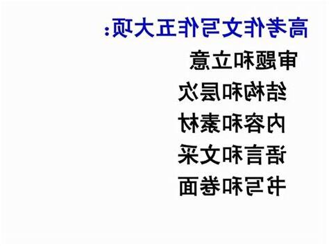 立意抽審意思