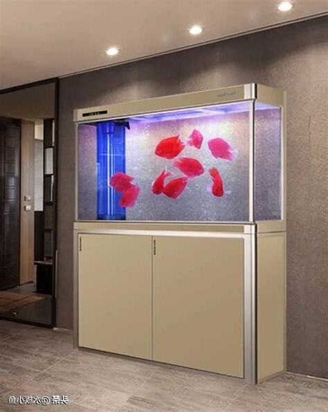 魚缸風水