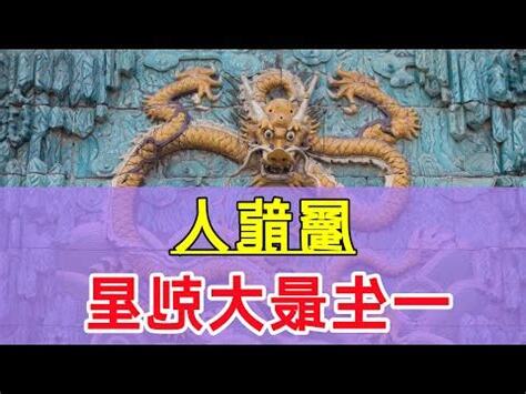 屬龍的名人