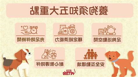 室內養狗注意事項