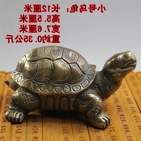 銅龜殼風水