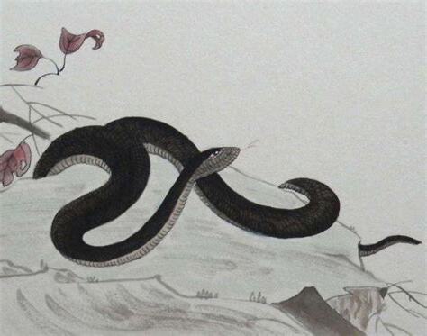 沙中土蛇