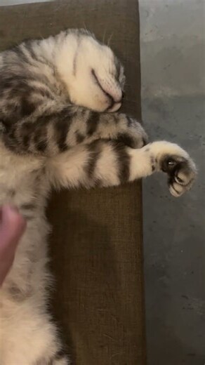 睡在冷氣下面