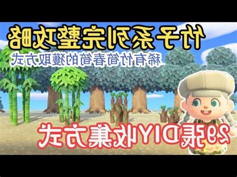 動森種竹子距離