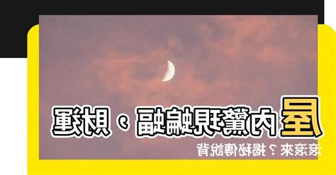 蝙蝠飛入屋