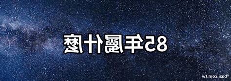 85年屬什麼