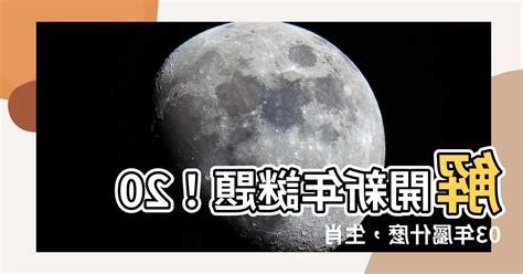 2003年屬什麼