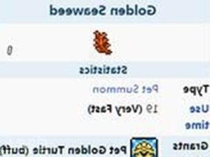 烏龜屬性