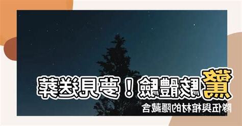夢見送葬隊伍棺材