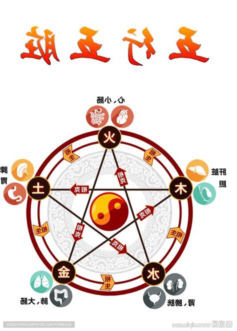 器官五行