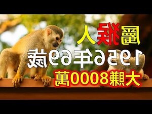 屬猴男
