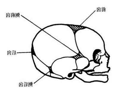 囪門位置
