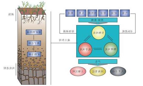 土壤生成五大因子