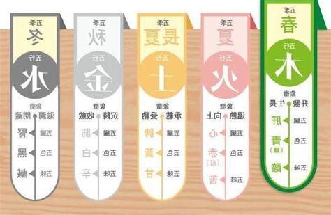 肝屬木