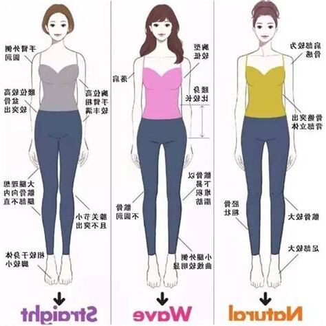 女生身體結構