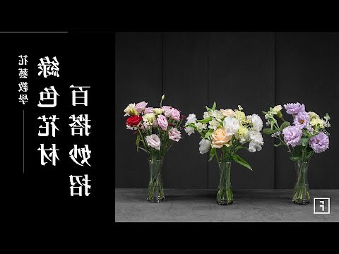 綠色的花有哪些