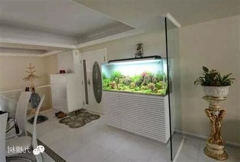房間放魚缸