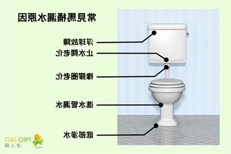 馬桶水管漏水