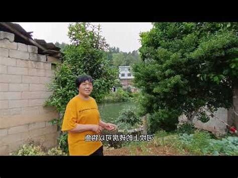 一山傍水