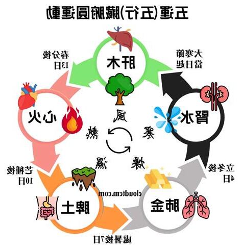 五行臟腑