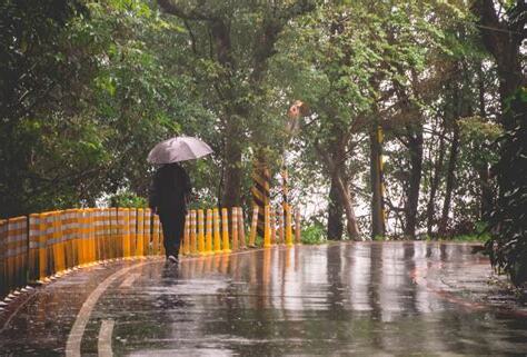 下雨天的圖片