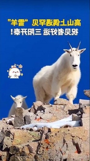 三羊開泰