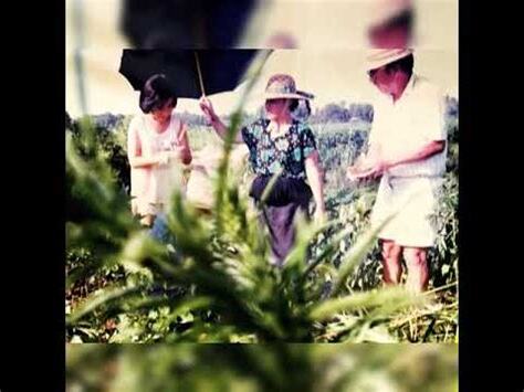 文氏家族