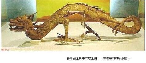 龍的形成