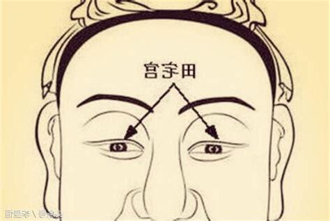 田宅宮闊