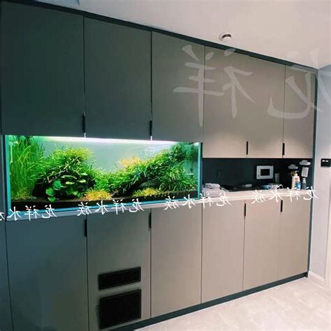 客廳魚缸設計